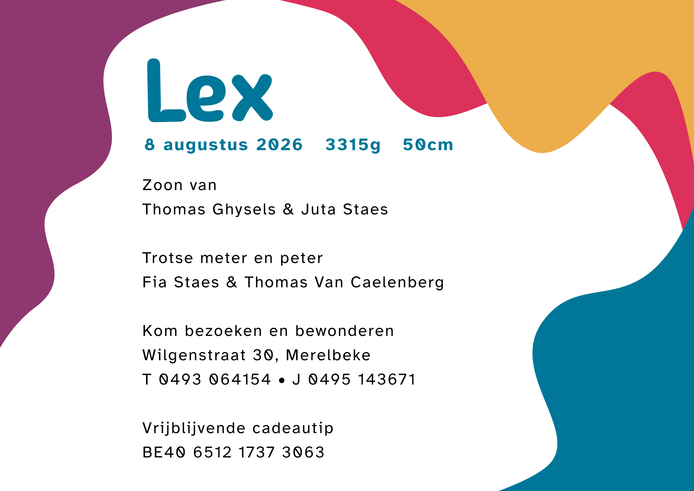 Geboortekaartje Lex achterkant